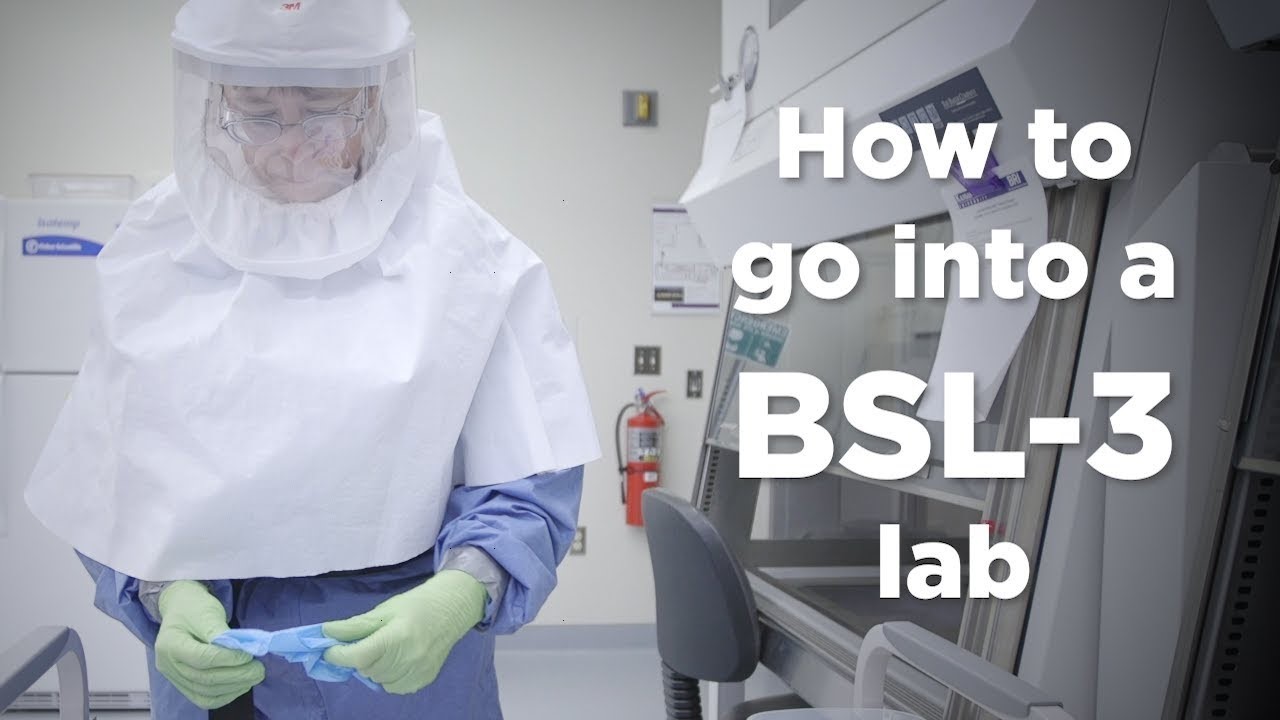 How to enter BSL-3 lab