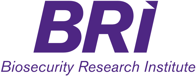 BRI Logo