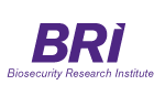 BRI Logo