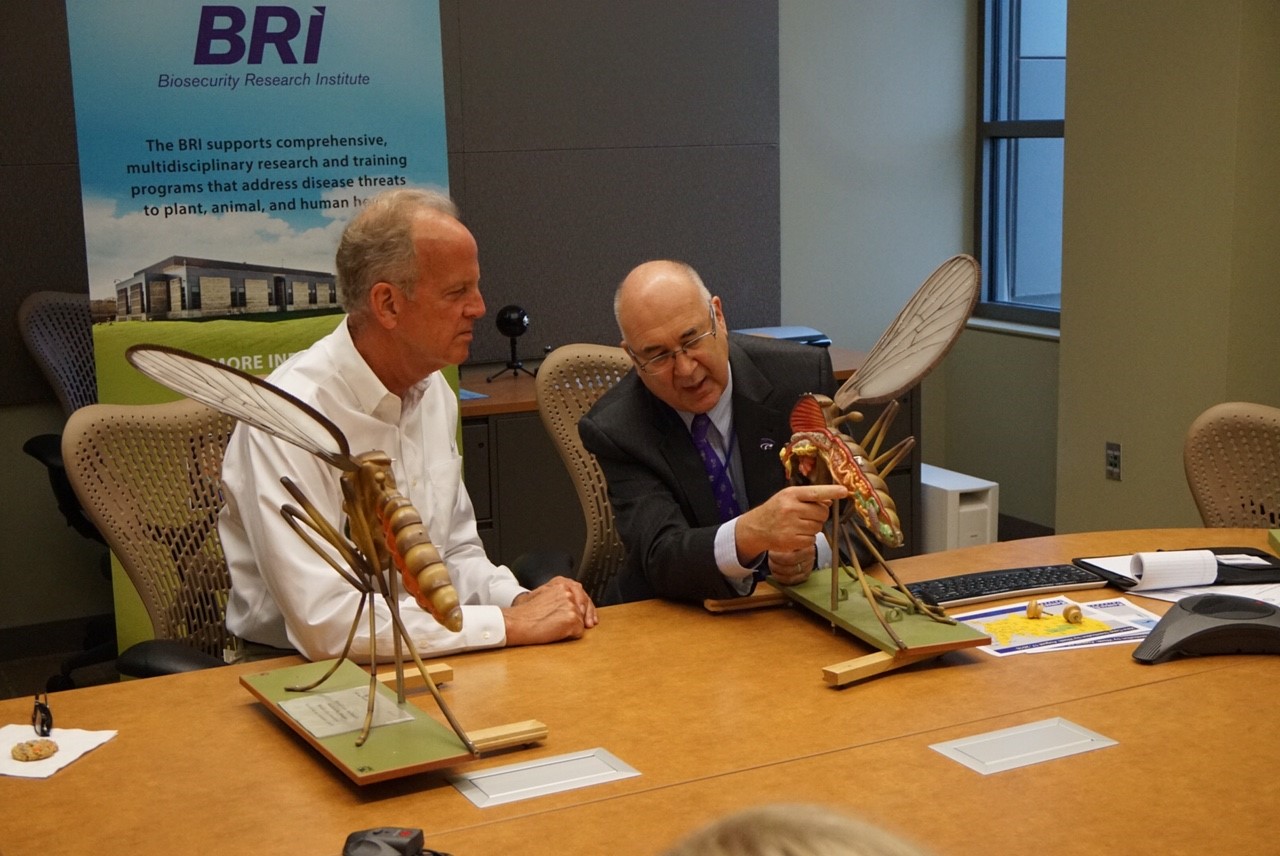 Senator Moran learns about Zika from Director Higgs