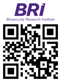 BRI QR-Code