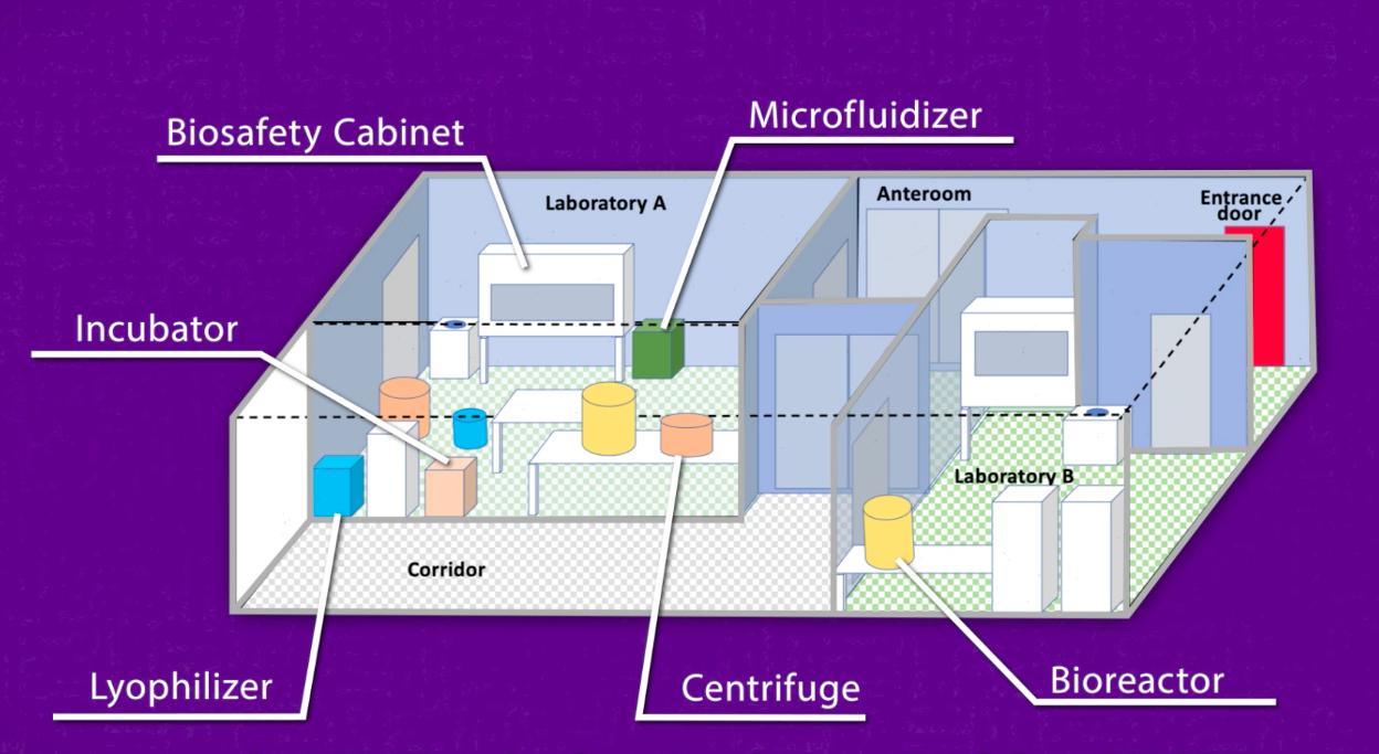 BDM layout