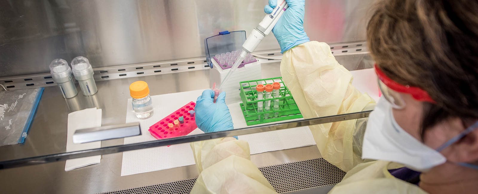 Researcher working in the Biosecurity Research Institute